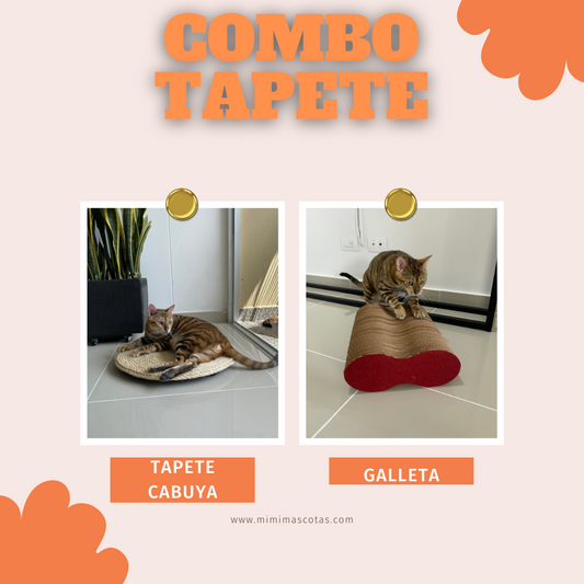 Combo Tapete Cabuya para gato