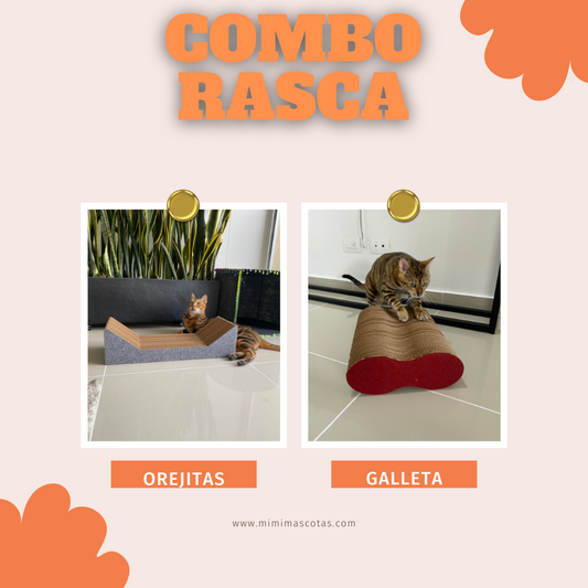 Combo rascadores para gato